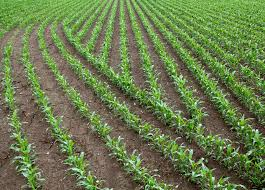 8. Automatic Swath/Planter Control
