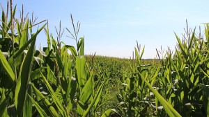 AgDNA, Parker Tractor Company Announce Partnership